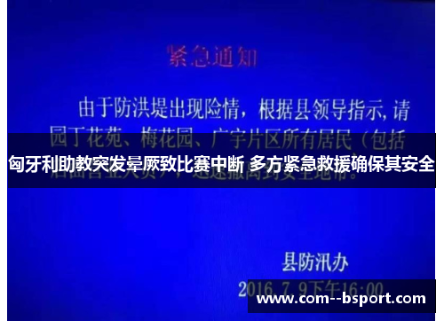 匈牙利助教突发晕厥致比赛中断 多方紧急救援确保其安全 匈牙利助教突发晕厥致比赛中断 多方紧急救援确保其安全