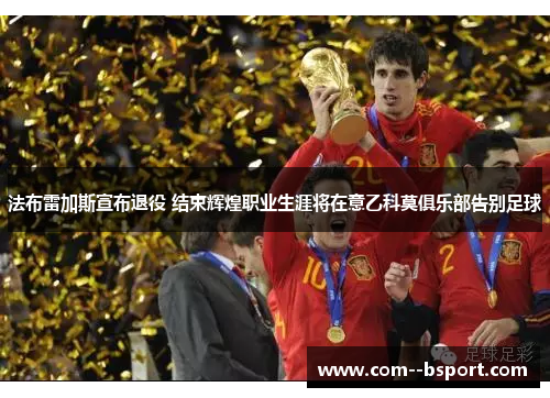 法布雷加斯宣布退役 结束辉煌职业生涯将在意乙科莫俱乐部告别足球 法布雷加斯宣布退役 结束辉煌职业生涯将在意乙科莫俱乐部告别足球
